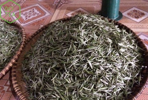 Trà shan tuyết cổ thụ sau sơ chế